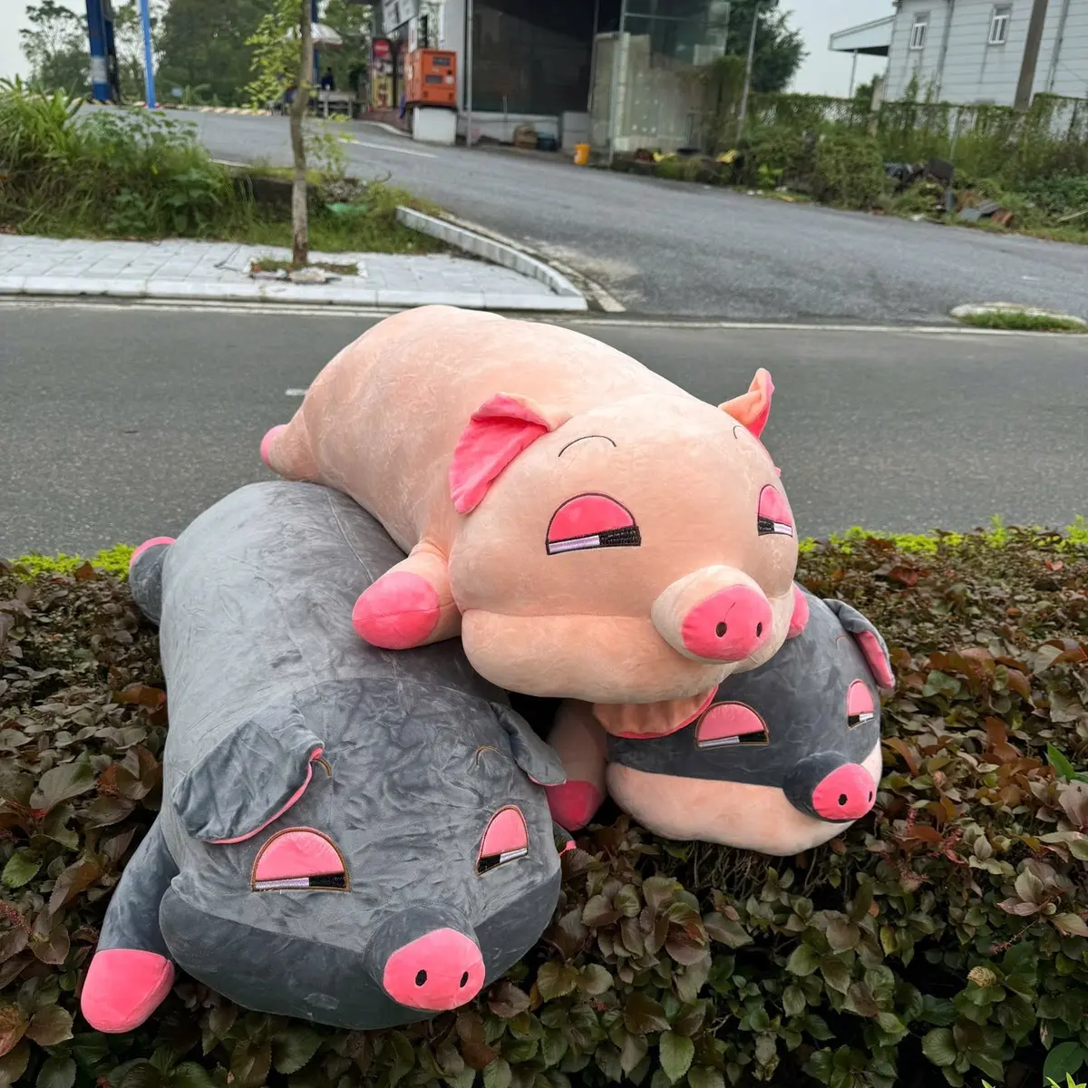 Gấu Bông Heo Híp Thú Nhồi Bông Heo Lim Dim Giá Rẻ Size 1M2 Thú Bông Toy Đồ Chơi Phát Nhạc