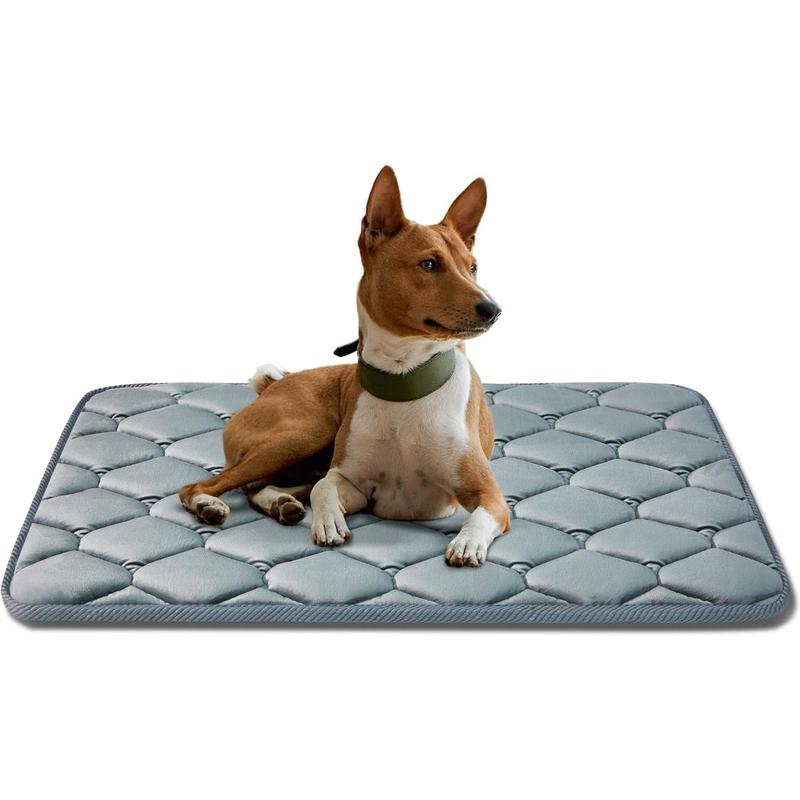 Medium dog crate mattress best sale