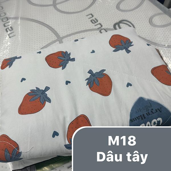Product Introduction of Chăn hè xơ đậu nành 1