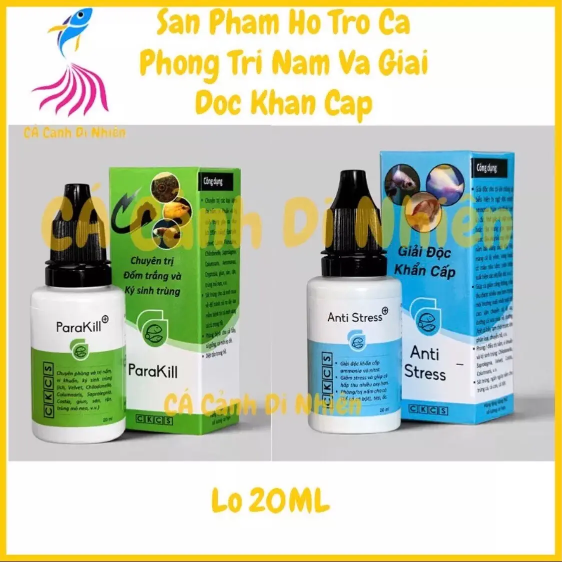 ParaKill & Anti Stress Dưỡng cá và phòng các loại nấm cho cá cảnh lọ 20 ML