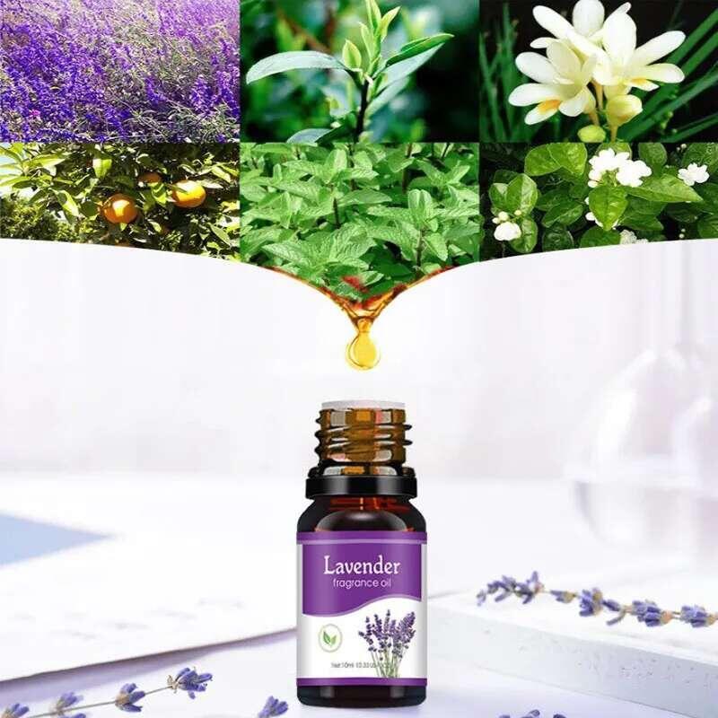 Product Introduction of 10ML Freshener Natural Plant Aroma Essential Oil Air Conditioning  Re Aroma Diffuser essential  oil  diffuser 29