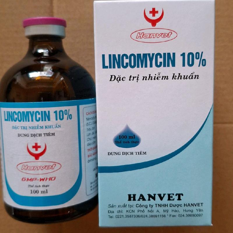 Lincomycin 10% đặc trị nhiễm khuẩn, viêm sưng khớp, viêm phổi, hen suyễn, crd cho gà, lợn, chó, mèo (100ml) 1
