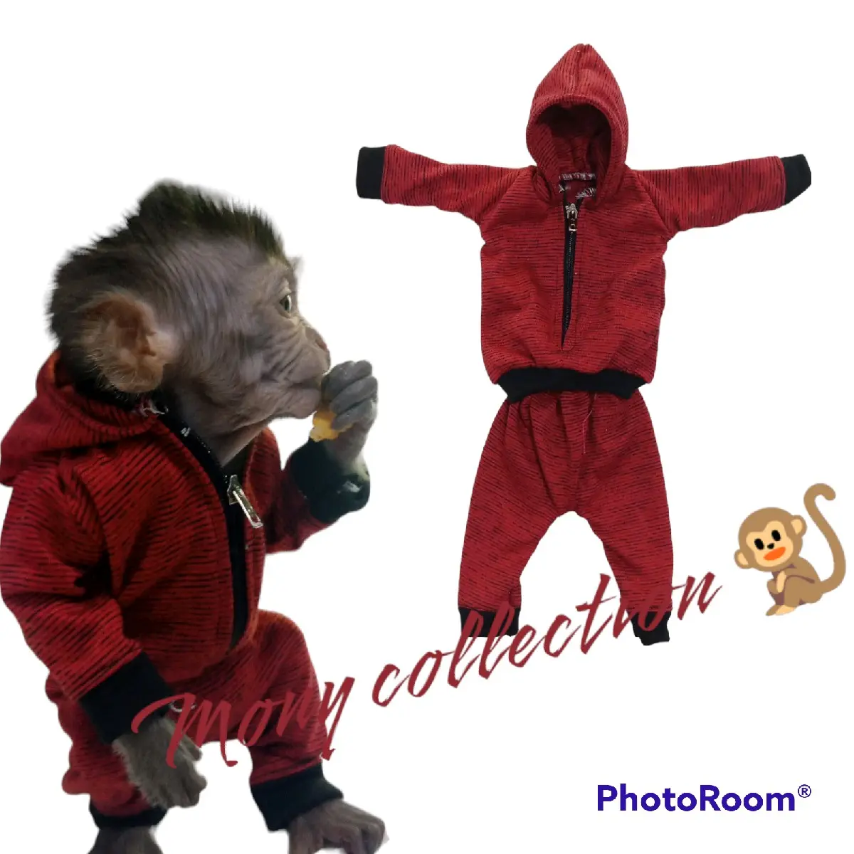 baju hewan monyet model setelan jaket