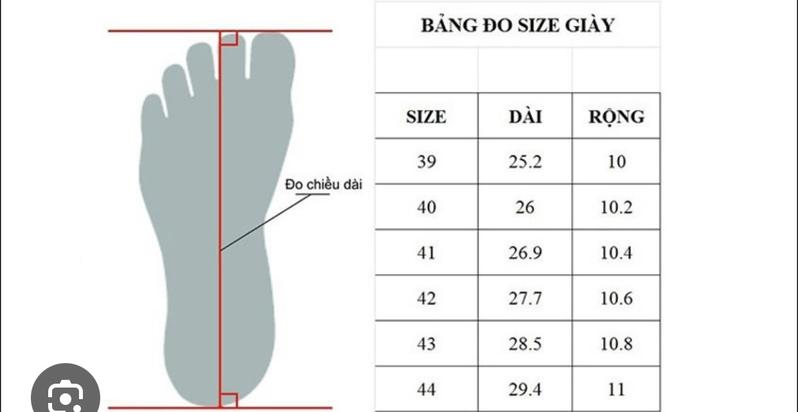 Product Introduction of Combo 5 đôi dép Xốp dẻo siêu nhẹ đi trong nhà người lớn, cho nam và nữ, trống trơn trượt, độ bền cao, đế bằng , đi êm chân DéP Slipperd Hoa 0