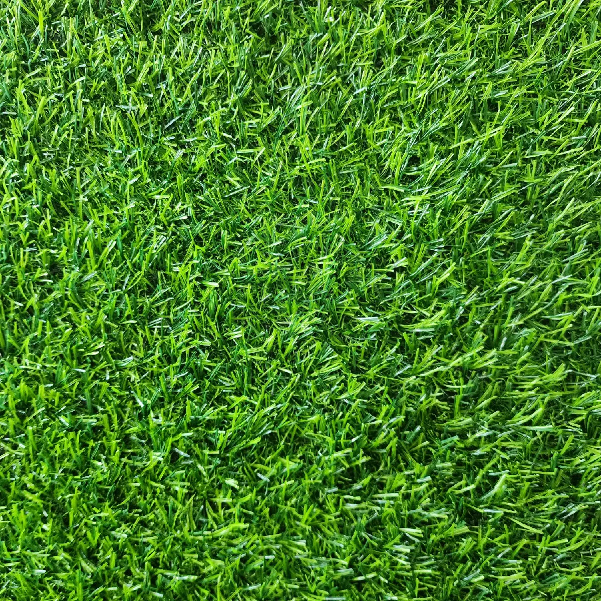 Rumput Sintetis Swiss 2cm - Shop | Tokopedia
