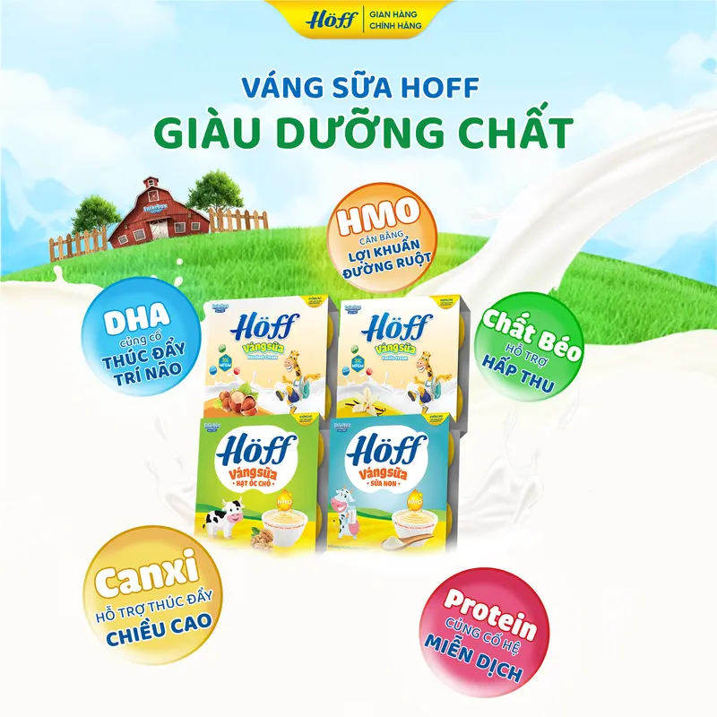 Váng sữa Hoff cho bé ăn dặm mix vị bổ sung dinh dưỡng canxi HMO MFGM DHA vitamin D3 khoáng chất hỗ trợ phát triển trí não hỗ trợ tăng cường miễn dịch 4 lốc (16 hộp x 55g) 2