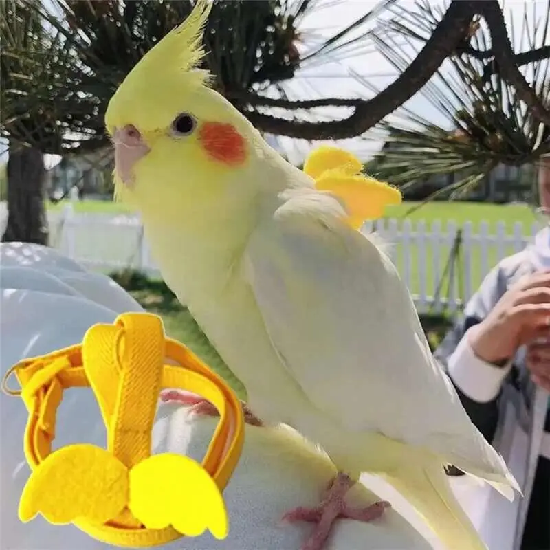 Adjustable Parrot Bird Leash Set Anti-bite Training Harness Parrots Outdoor Flying Rope atiel Small Birds Supplies