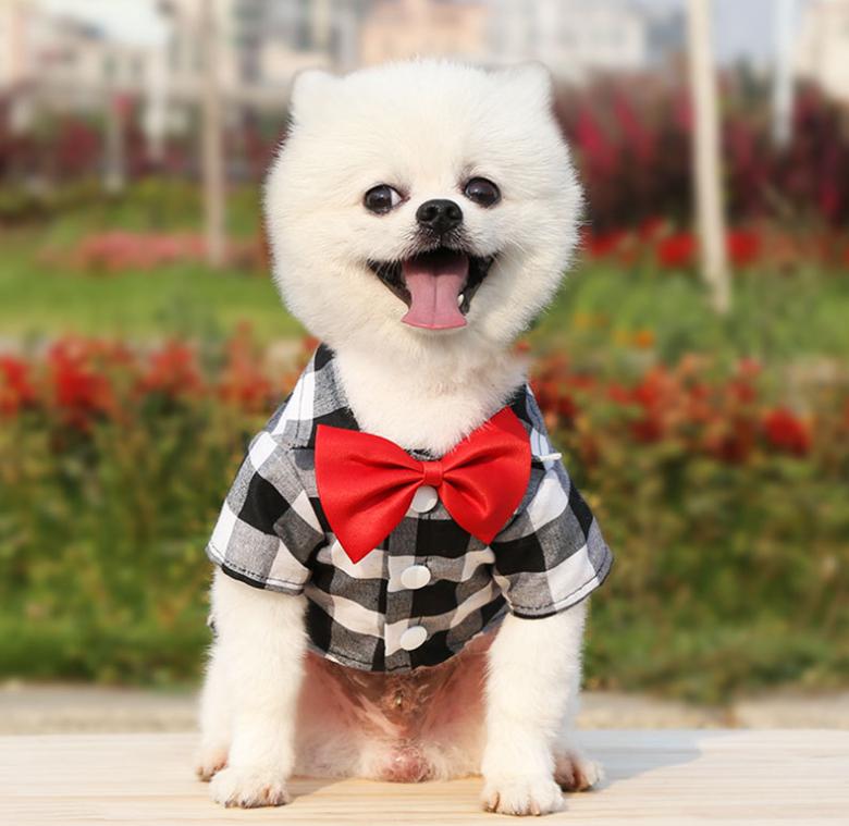 Có Size 4XL Áo sơ mi có nơ đi biển cho Chó Mèo thời trang mùa hè dành cho cún cưng