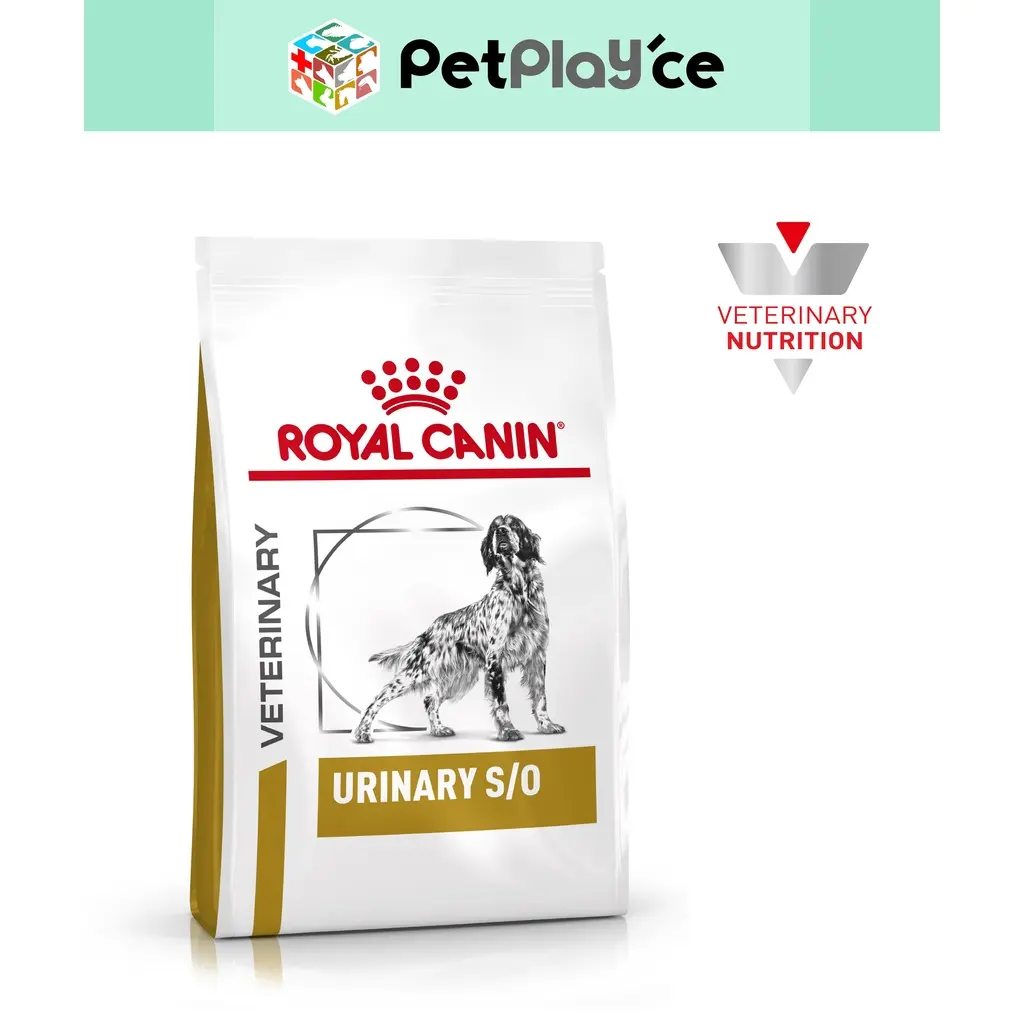 Royal Canin URINARY S/O Canine Dog Food 2kg Orig Pack or 500g Trial Pack Dry SO S O VET Range
