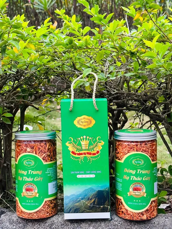 .Combo 2 hộp Đông trùng hạ thảo Huy Cương loại gãy 50g 2