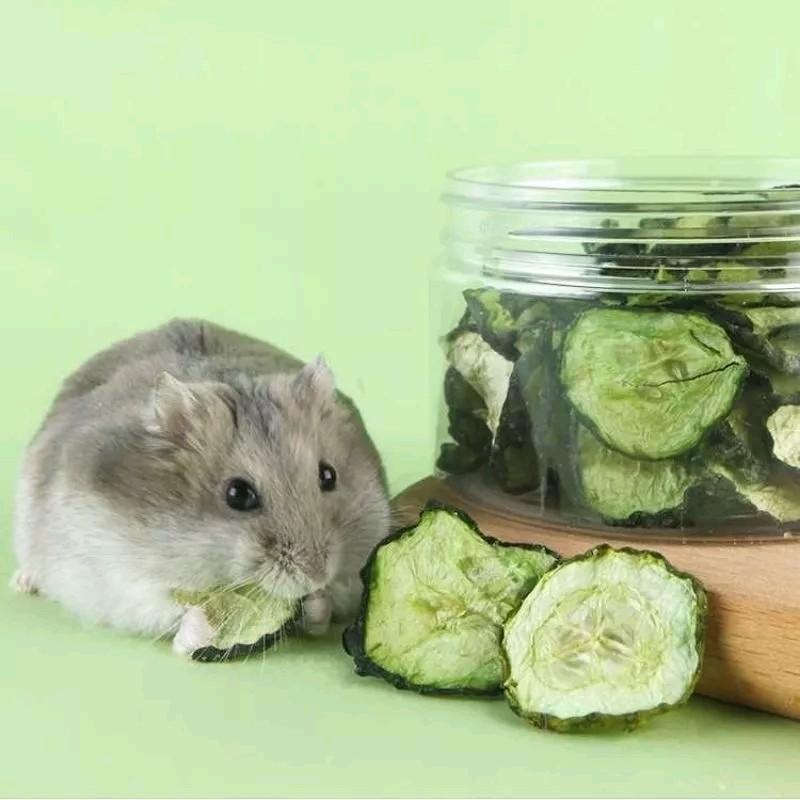 Product Introduction of MHF97 Ready Stock Hamster Dried Cucumber 1