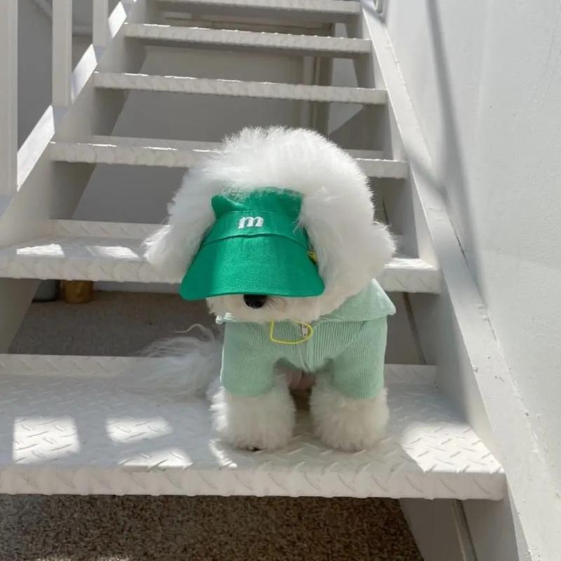 Product Introduction of Fashion Cute Dog Hat Outdoor Multicolour Puppy Baseball Hat Adjustable Portable Dog Sunscreen Cap Dog 24