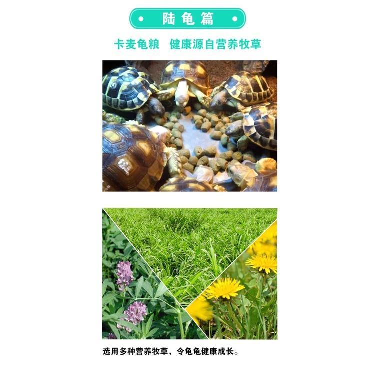 Thức ăn kama cho rùa cạn - cám rùa cạn cao cấp - Tortoise Food - phụ kiện thủy sinh -shopleo 5