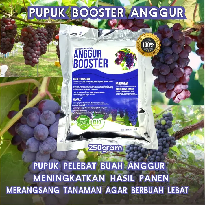 Pupuk Booster Anggur - Pupuk organik pelebat buah, menyuburkan tanaman, dan memperkuat tanaman Alami Tumbuhan