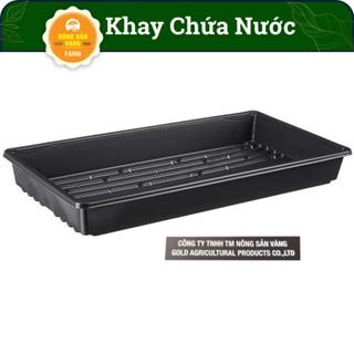 Khay Ươm Hạt Giống 50 Lỗ Kích Thước 55*30*5.5 cm , Vỉ Ươm Giúp Cho Hạt Nảy Mầm Tốt - Nông Sản Vàng 8