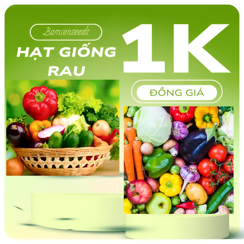 Hạt giống rau củ, dễ trồng, hạt giống rau củ quả, trồng tại nhà