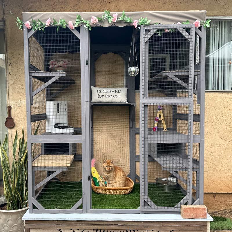 Aivituvin Walk-in Large Cat Enclosure with Roof Tarp - Connects ...