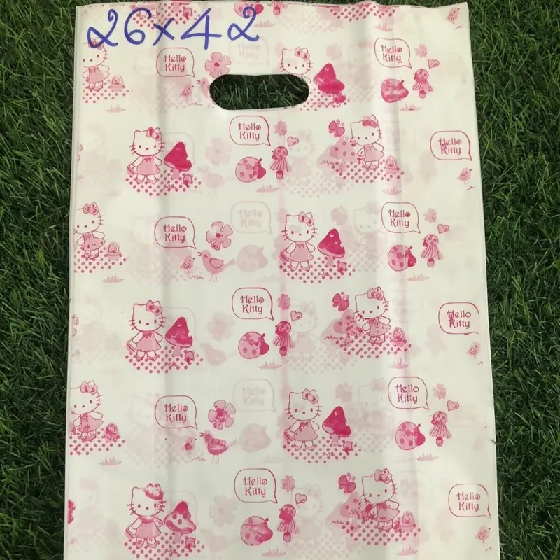 TÚI HỘT XOÀI IN HÌNH HD HOẠ TIẾT NGẪU NHIÊN ĐỦ SIZE 6