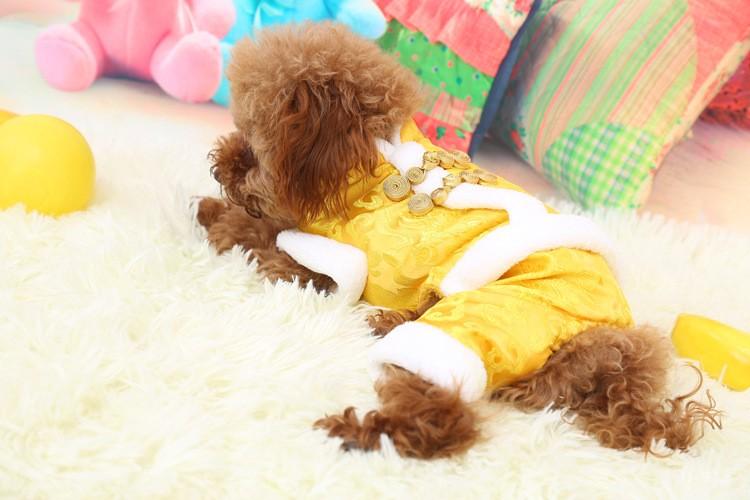 Product Introduction of Bộ Quần áo tết chó mèo LONG BÀO lót bông kiểu 4 chân - Áo cho chó dưới 10kg hàng cao cấp đẹp dễ thương, Áo tết mặc cho thú cưng mới 2024 10