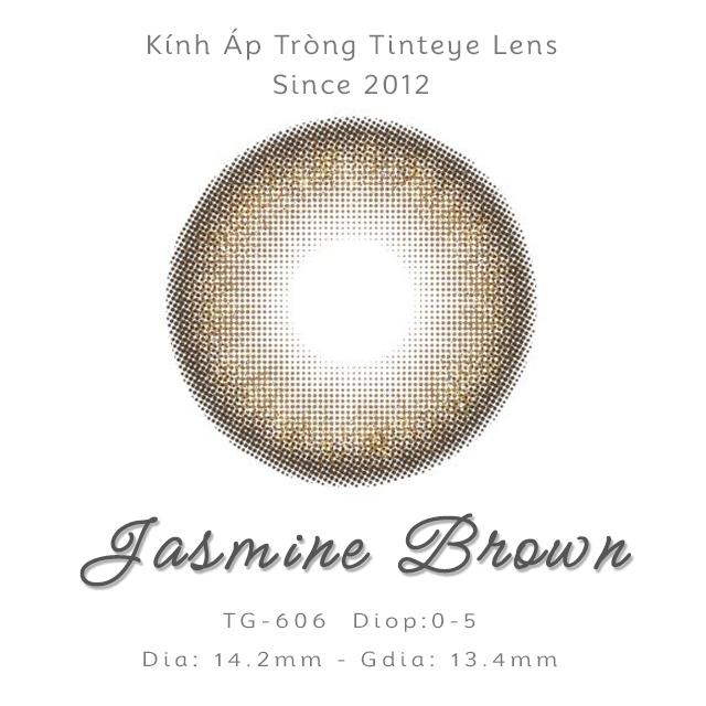 Kính áp tròng TINTEYE Lens TG-606 Jasmine Brown 0-8 độ 8