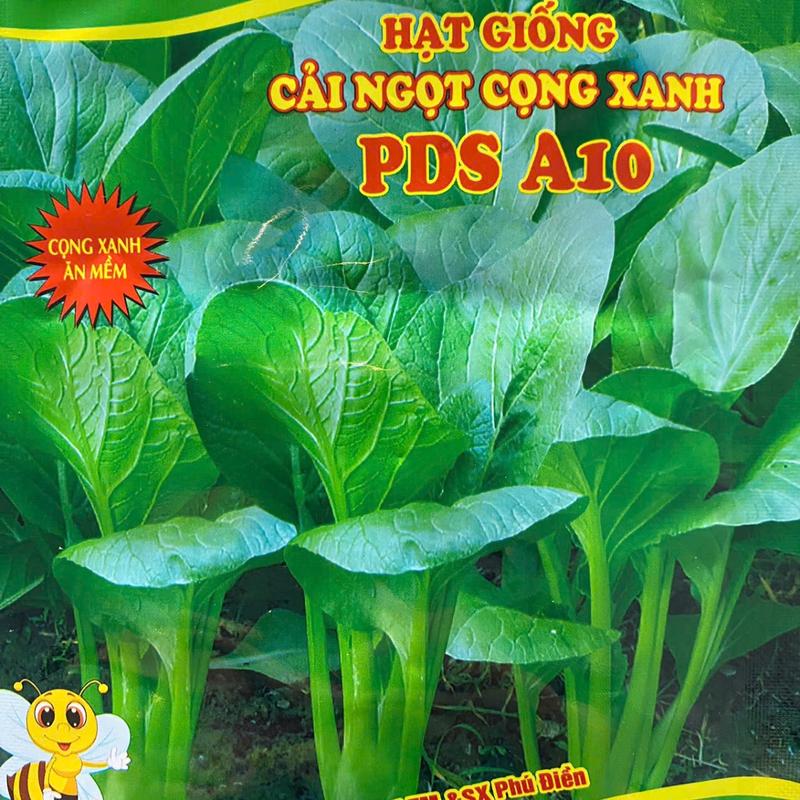 2 TÚI Hạt giống CẢI NGỌT mỗi Gói 20g rất nhiều hạt.