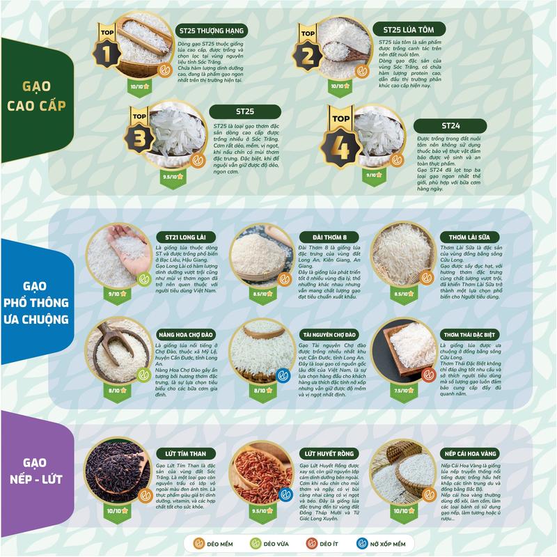 [QUÀ TẶNG KHI MUA 10KG: DẦU ĂN/NƯỚC MẮM/1 KG ĐƯỜNG] Gạo ST25 Thượng Hạng 2 Túi 5kg  - Gạo Công Nghệ Chất Việt 2