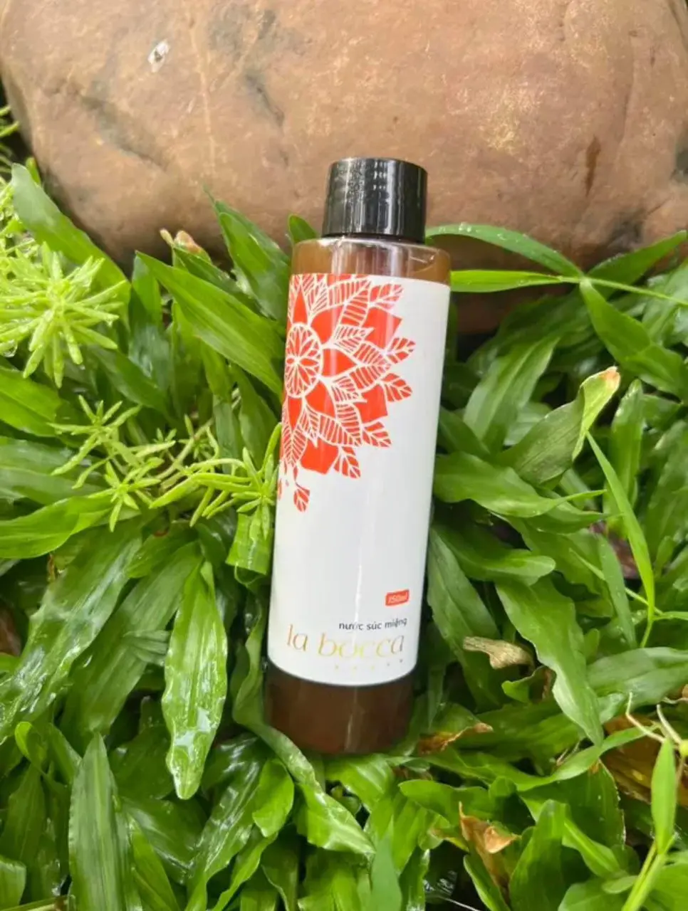 (Giờ livestream) Chai thảo dược khử hôi miệng 150ml