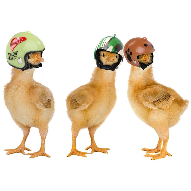 Product Introduction of 1pcs Chicken Helmet Fuuny Hat Hen Pet Protective Gear Sunscreen Rain Helmet Toy Pet Small Pet Supplies 2