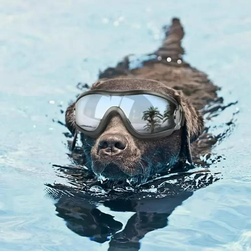Adjustable Dog Goggles, Cute Sunglasses, Anti-UV Sun Glasses, Eye Wear Protection, Dogs Windbreak Eyeglasses, Pet Supplies 2