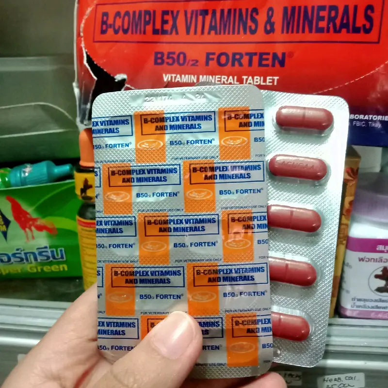 B50 FORTE B-COMPLEX VITAMINS DAN MINERALS untuk ayam 0