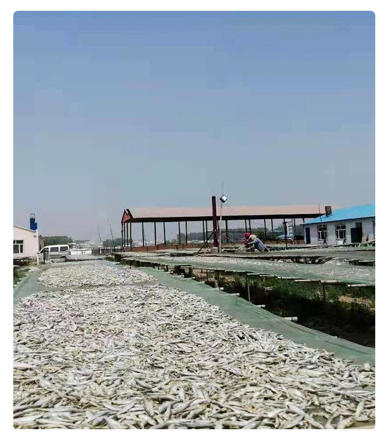 Product Introduction of Wholesale Fresh Water Dried Minnows Cat Snacks Bulk Feed Tooth Cleaning Molar Calcium Supplement Hamster Food Free Shipping 1kg 12