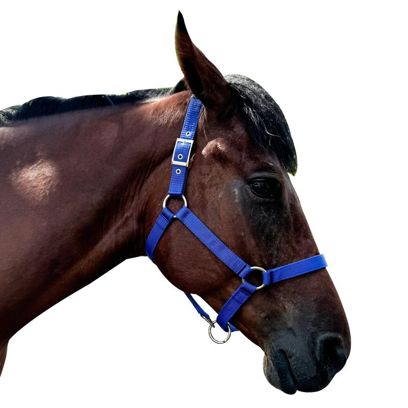 Product Introduction of Adjustable Horse Halter, Soft Comfortable Horse Head Strap, Professional Equestrian Equipment for Horse Riding, Outdoor Riding Accessories 5