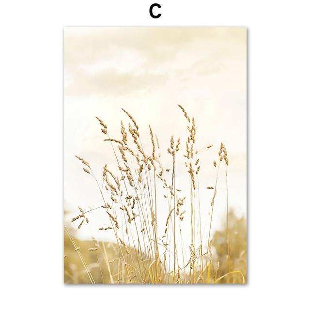 C