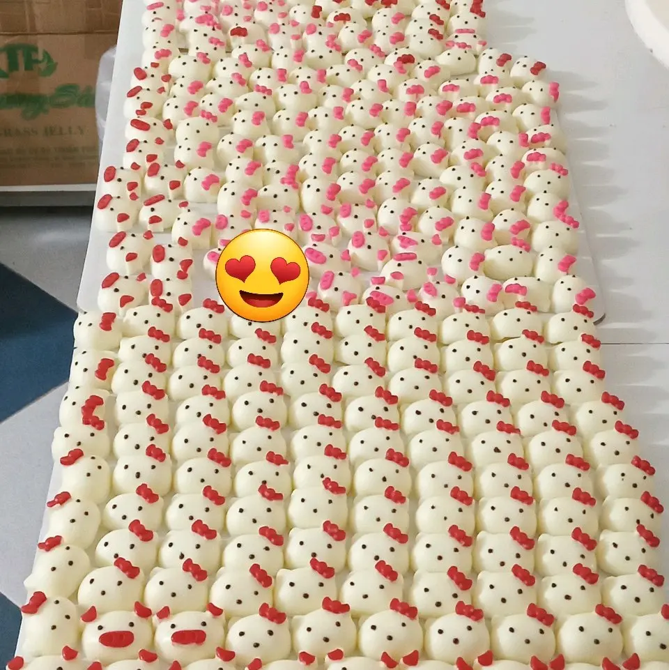 10 viên socola valentine hình mèo ,heo dễ thương đã được bọc từng viên