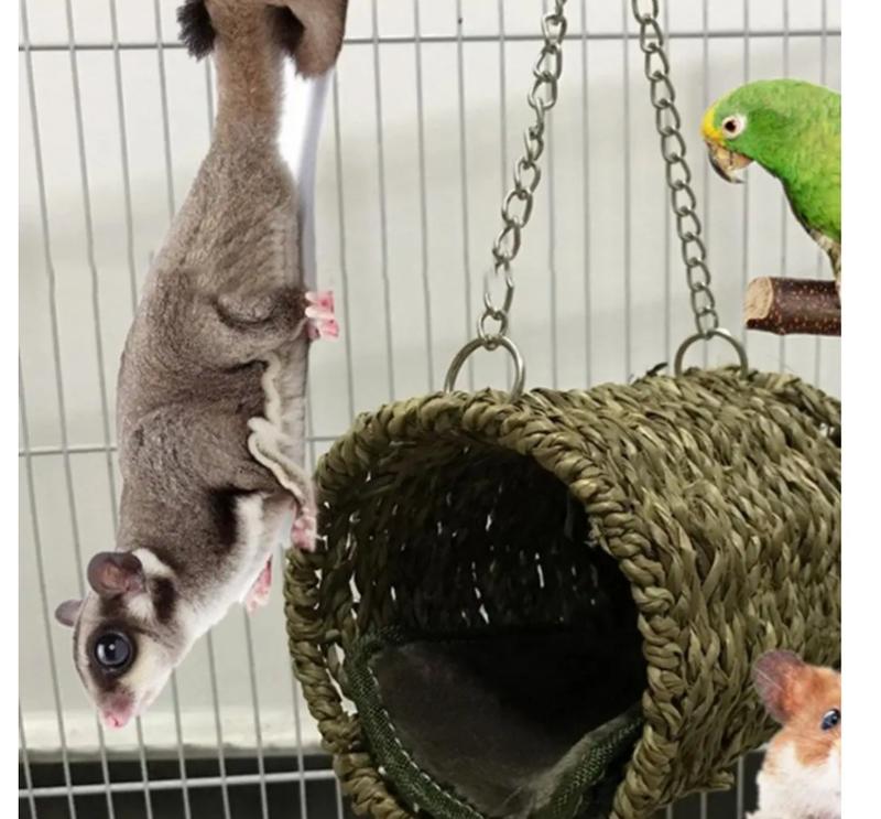 Product Introduction of Small Animal Wood Play Tunnel for Rats Ferrets Dwarf Rabbits Habitats Cave Bunny Hideout Activity Tunnel Toys Hamster House 5