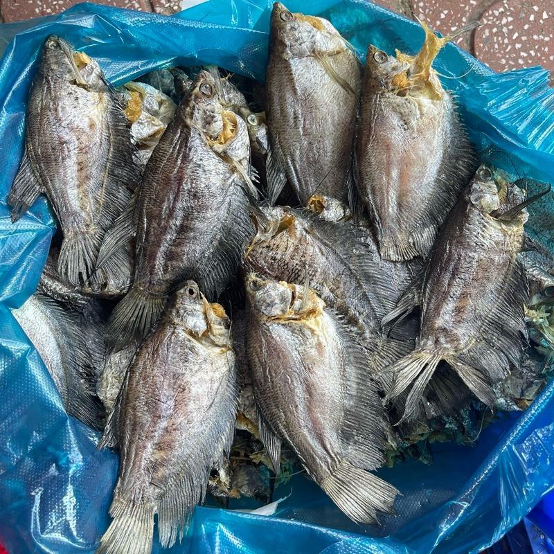 KHÔ CÁ SẶC BỔI 16-20c,túi 1kg, solo không đều con, khô mặn ăn cơm.Food