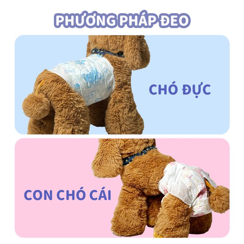Tã giấy PAW ACE cho thú cưng tã chó đực tã chó con tã mèo cái XXS XS S M L XL 3