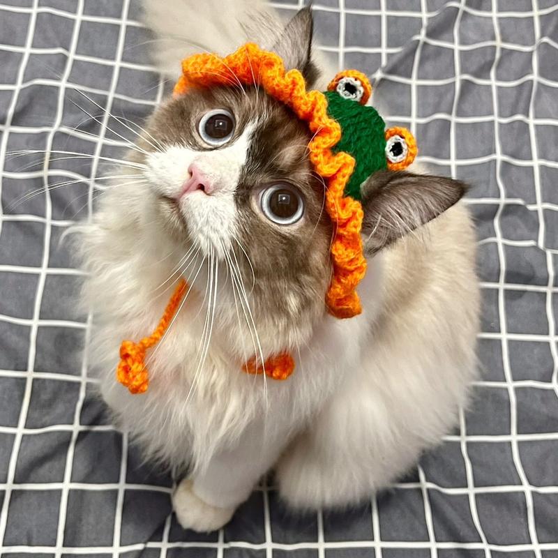 Topi Kucing Rajutan Topi Rajut Kucing dan Anjing dengan Banyak Motif - Ukuran Standar ...