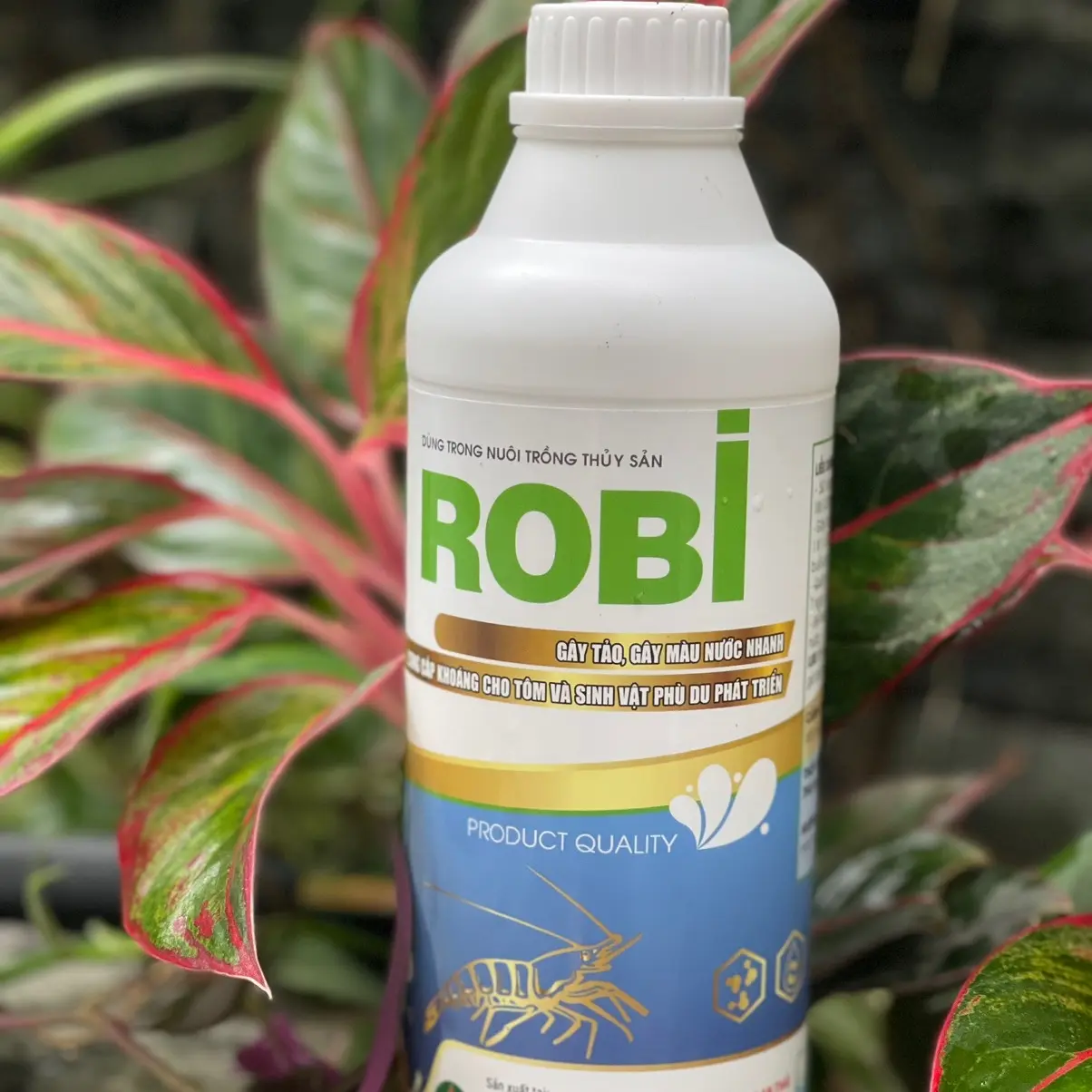 ROBI CHAI 1L