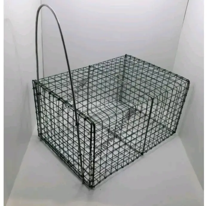 Jebakan Tikus / Perangkap Tikus Ampuh / Jebakan Tikus Ampuh / Senteg