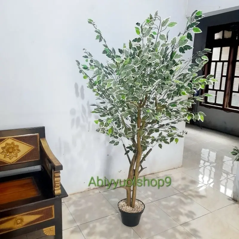 NEW ARRIVAL Pohon Hias Artificial Beringin Varigata 2 batang pohon Daun Rimbun Lebat || Natural Aesthetic 1