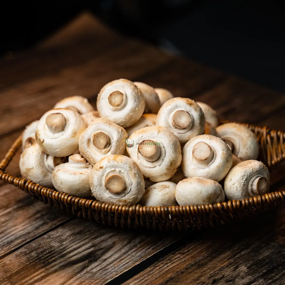 White Button Mushroom (KG±)
