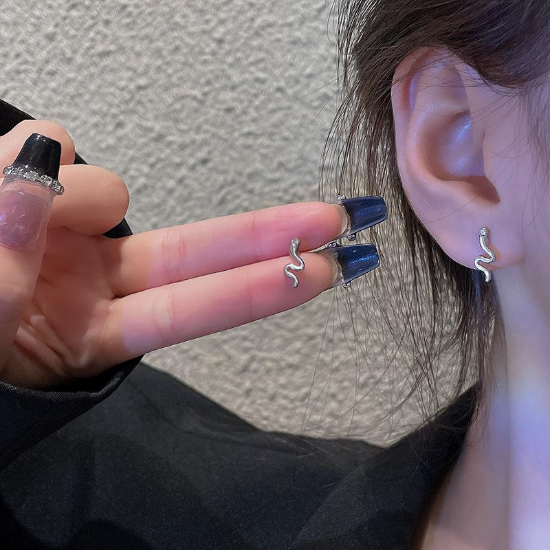 Product Introduction of Sterling Silver Needle Internet Celebrity Live Broadcast Hot-Sale Earrings Stall Supplies for Night Market All-Match Fashion Earrings Ear Rings Wholesale 24