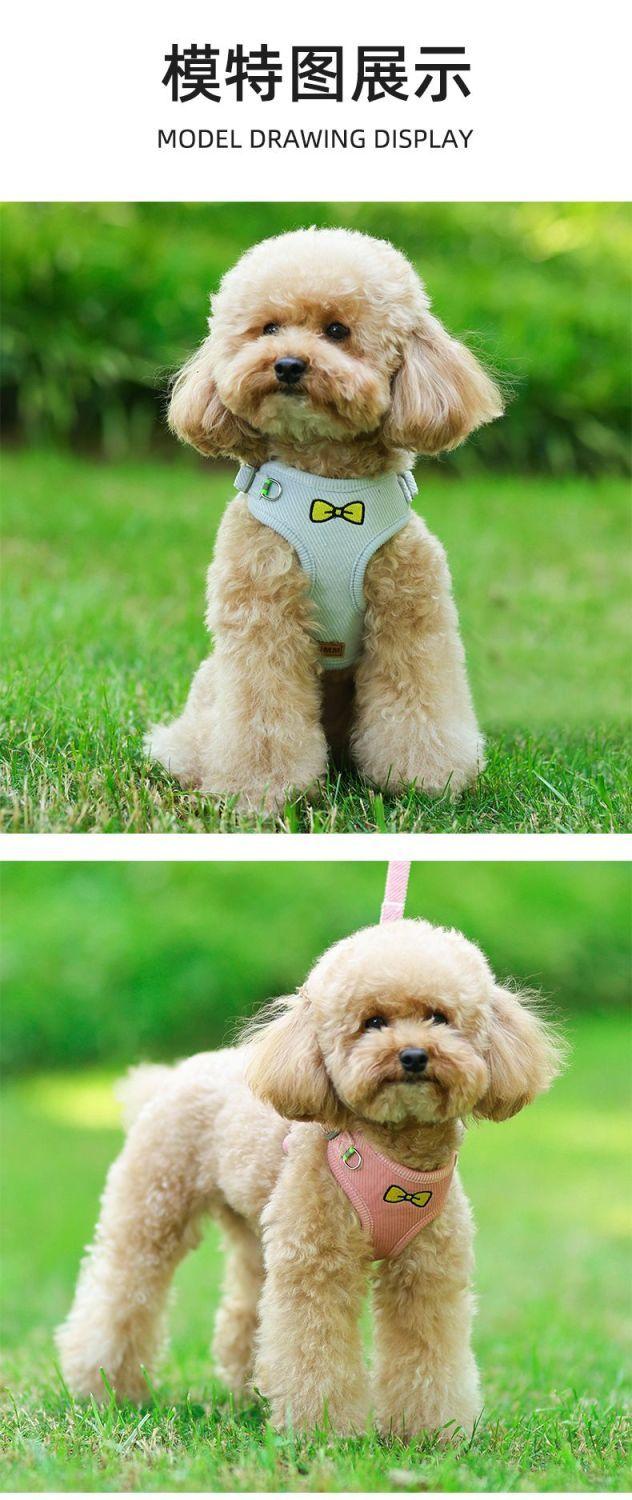 Product Introduction of Pet Dog Cat Pulling Rope Small Teddy Vest Retractable Collar Reflective Chest Strap Walking Dog Cat Rope 12