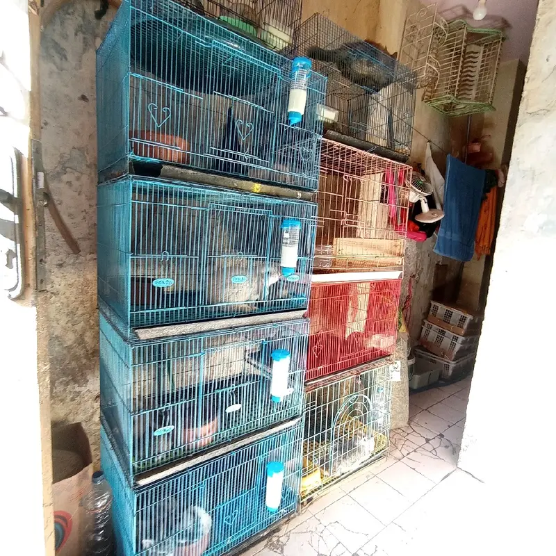 Kandang Besi Lipat 50x30x30 Kandang Kucing Kandang Kelinci Kandang Anjing Kandang Hamster Kandang Burung Kandang Marmut Kandang Musang Kandang Hewan Kandang Kayu Kandang Ayam Kandang Stainless Kandang Tingkat Kandang Lipat Kandang Guine Pig 1