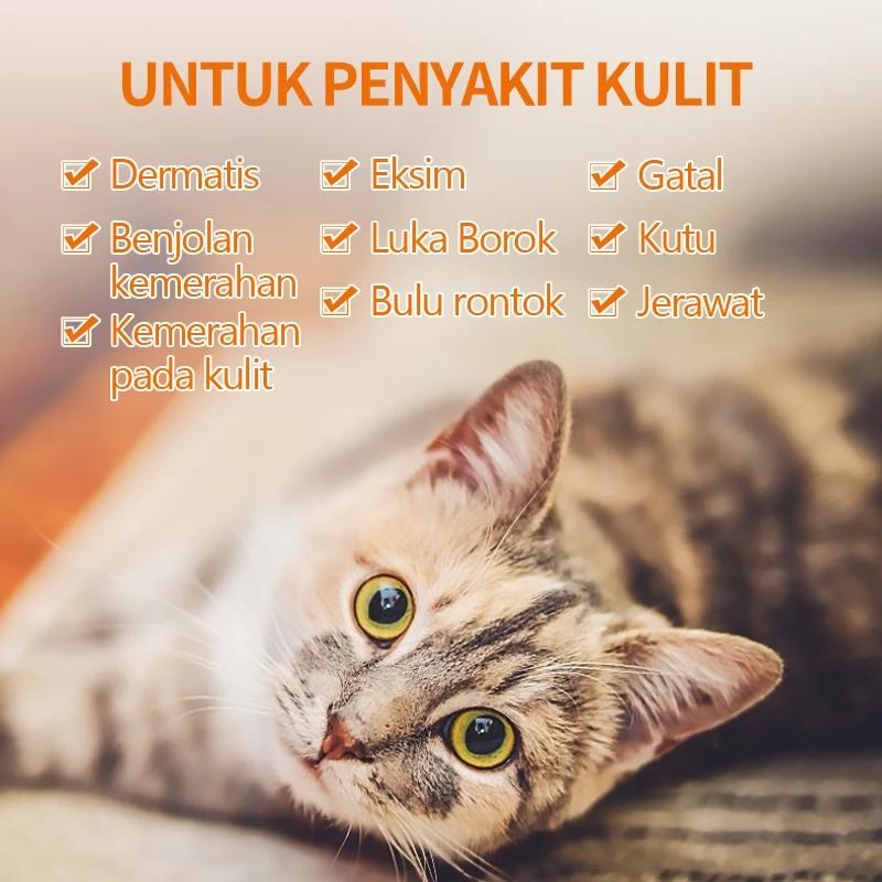 SALEP ABSES ANABUL LUKA BERNANAH DAN BASAH AMPUH SALEP LUKA KUCING SALEP KUCING LUKA SALEP KUCING LUKA BASAH KRIM LUKA KUCING 1