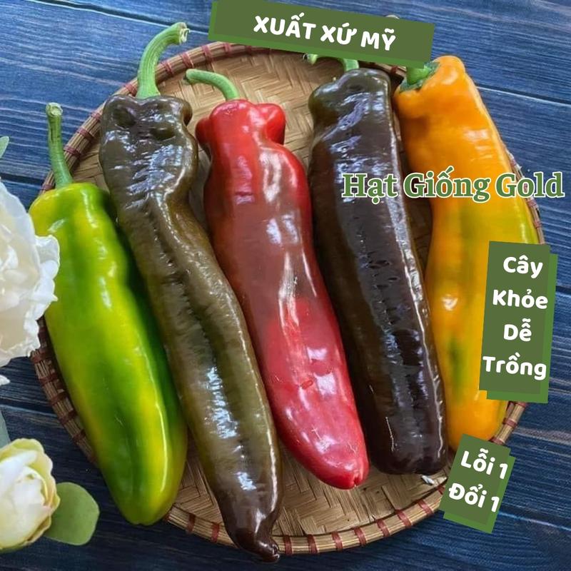 Hạt giống ớt ngọt palermo Mỹ ớt sweet palermo trái cây socola gói 10 hạt ớt dễ trồng năng suất cao Hạt giống Gold