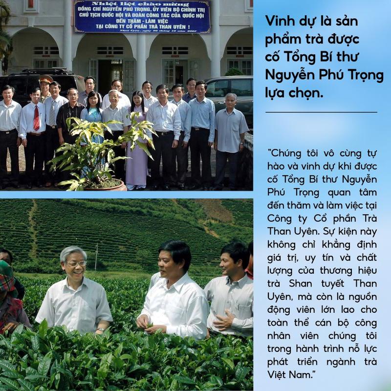 Combo 5 Túi TRÀ XUÂN Trà Shan Tuyết Than Uyên 200g Chuẩn Hữu Cơ 4