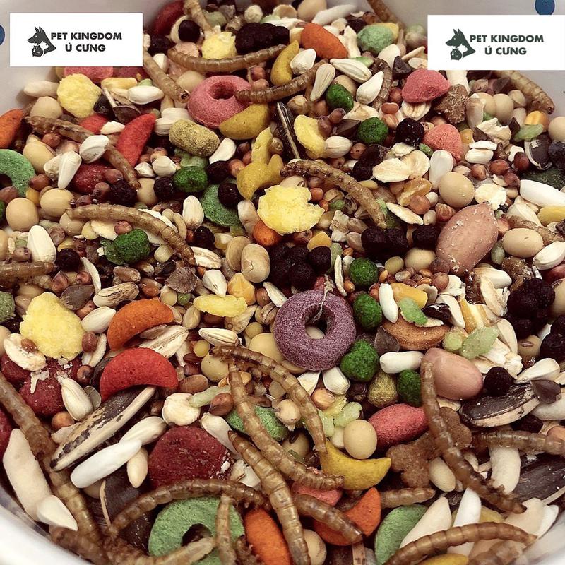 Thức Ăn Cho Hamster P Food