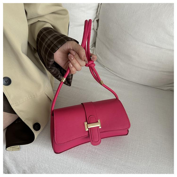 Product Introduction of Niche High-End Design Fashion Suitable for Various Scenes Niche Elegant Fashion Pouches Women's Bag New Western Style All-Matching Messenger Bag Fashion Shoulder Underarm Bag 9